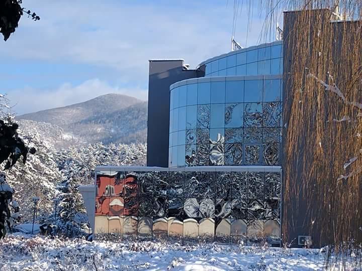 Spa Hotel Ata Выршец Экстерьер фото